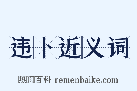 违卜近义词是什么意思的图片